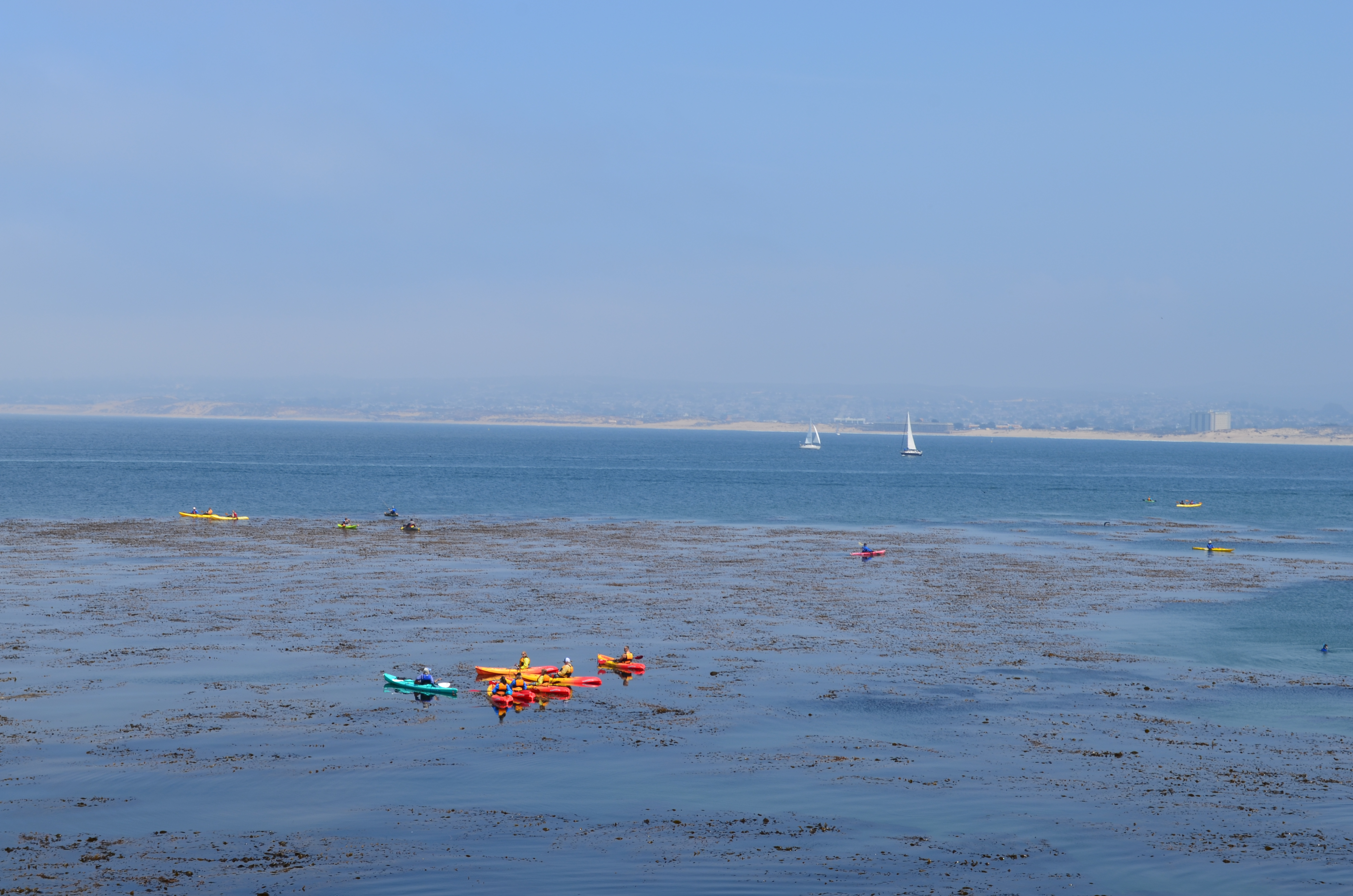 ./2018/09 - San Francisco/ASC_0731.JPG